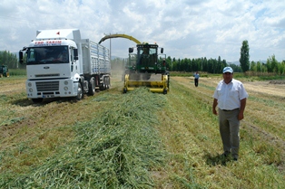 Ereğli'de tarla günü