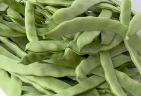 Korkutan salgında yeni şüpheli