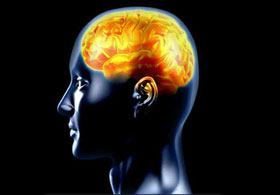 Dahi Türk'ten müthiş çalışma!