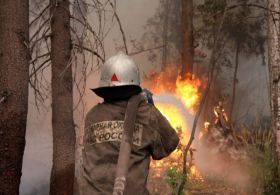 Rusya yanıyor: 24 saatte 186 yeni yangın