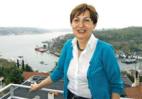 CHP'li Toprak'tan BDP itirafı
