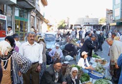 Seydişehir'de organik tarım