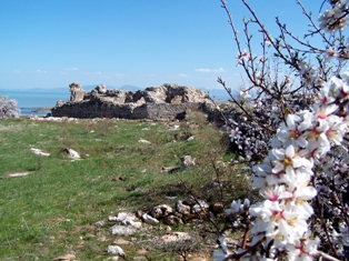 Kubadabad Sarayı'nda kazı çalışmaları