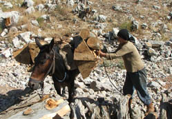 Kadının çilesi  bitmiyor