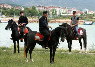 Atçılığın merkezi Beyşehir
