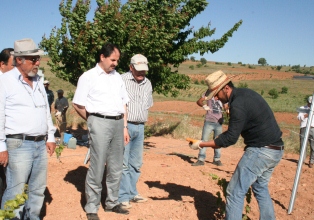 İl Özel İdare'den bağcılığa destek