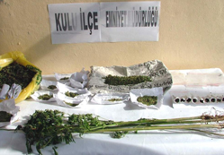 Kulu’da esrar operasyonu