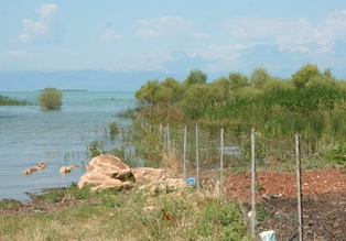 Göl yükseldi bahçeler sular altında kaldı