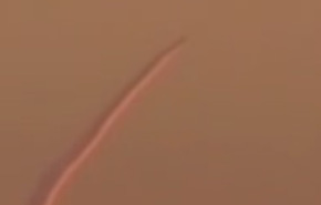 Füzeli 'Dostluk ve Barış' mesajı