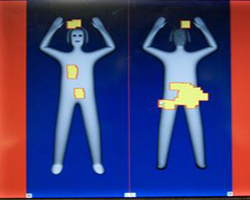 Avrupa'da çıplak tarayıcı kararı