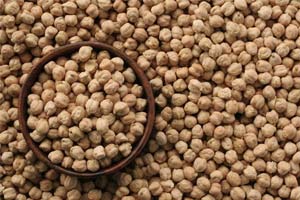 Beyşehir'de nohut alımları başladı