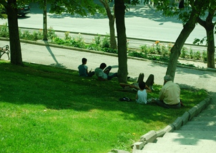 Sıcaklıklar arttı, vatandaşlar gölge arıyor