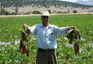 Beyşehir'de kanal suyu taştı