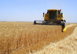 Sarayönü'nde hasat sezonu başladı