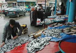 Balık nüfusu artacak