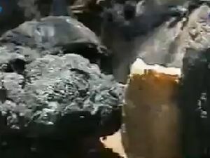 Çatışma alanından ilk görüntüler!