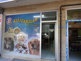 Hayvan sahiplerinin dikkat etmesi gerekenler
