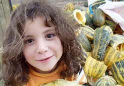 Çerezlik kabak üretimi yaygınlaşıyor