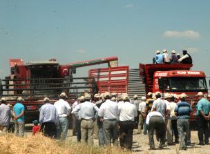 Beyşehir'de kanola ekimi yaygınlaştırılacak
