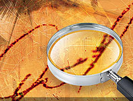 Albay Çiçek'e o emri bakın kim vermiş!