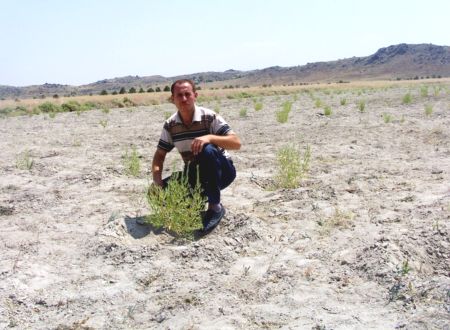 Marifetli "Amerikan Çalısı" ile mücadele