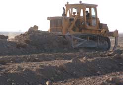 Ereğli’ye yeni orman alanı