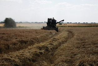 Anıza ekim Sarayönü'nde tartışıldı