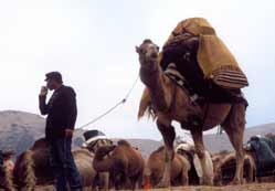 YÖRÜKLER–YAYLALAR    1