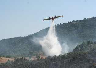 Beyşehir'de orman yangını