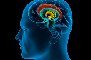 Hafızanın tek besini uyku