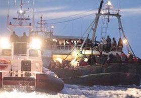 Yaşamak için çırpınmışlar!