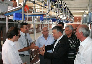 Hüyük’te çileğe rakip geldi