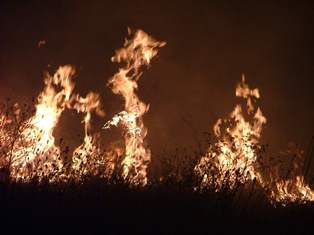 Anız yangınlarının önüne geçilemiyor
