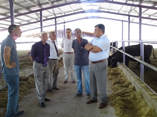 Ereğli'de hayvancılık gelişiyor