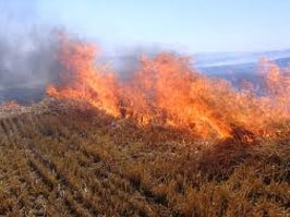 Akşehir'de 6 ayda 37 yangın