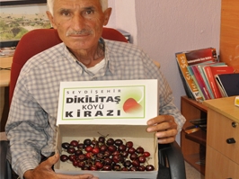 Akşehir kirazına rakip Seydişehir'den