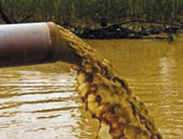 Kendi idrarlarını içiyorlar!