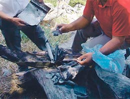 Yazıcıoğlu kazasında sümenaltı şoku!