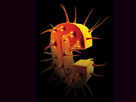 Hepatit C aşısında umut ışığı yandı