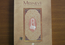 Selçukname, Türkçe'de