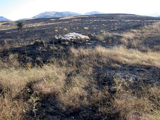 Sarayönü'nde 50 dönüm arazi yandı