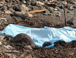 İrlandalı iki turist vahşice katledildi