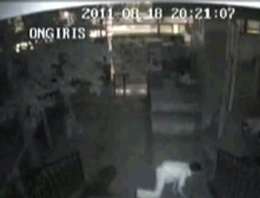 İki teröristin asker kamuflajı giyerek polis karakoluna saldırması ve ak