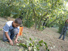 Artık geri kalmayacaklar