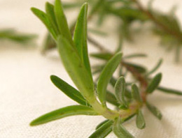 Yara ve yanıklar için mucize yara örtücü