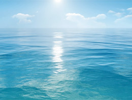 Hint okyanusunda feribot faciası