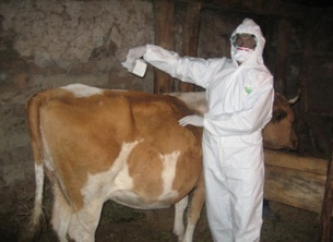 Konya'da bu köy karantinaya alındı!