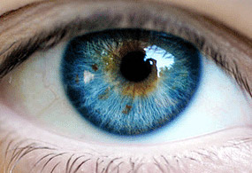 Yalanı gözden okuyan makine yapıldı