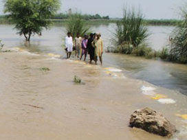 Ölümcül hastalıklar artıyor
