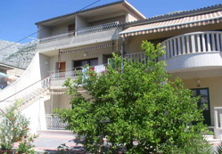 Emlakta 2005, altın yılı oldu